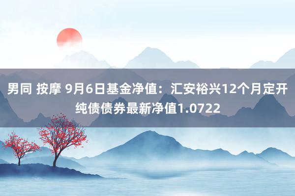 男同 按摩 9月6日基金净值：汇安裕兴12个月定开纯债债券最新净值1.0722