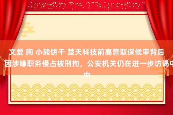 文爱 胸 小熊饼干 楚天科技前高管取保候审背后：因涉嫌职务侵占被刑拘，公安机关仍在进一步访谒中