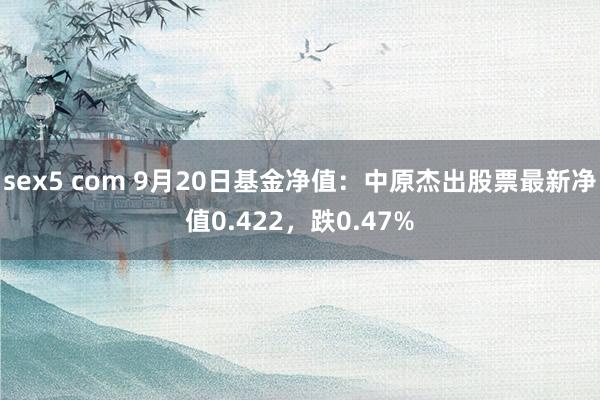 sex5 com 9月20日基金净值：中原杰出股票最新净值0.422，跌0.47%