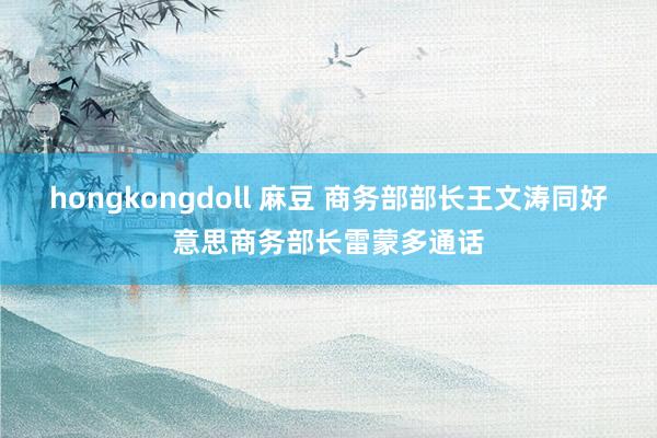 hongkongdoll 麻豆 商务部部长王文涛同好意思商务部长雷蒙多通话