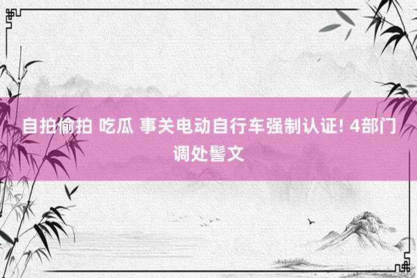 自拍偷拍 吃瓜 事关电动自行车强制认证! 4部门调处髻文