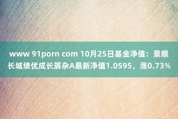www 91porn com 10月25日基金净值：景顺长城绩优成长羼杂A最新净值1.0595，涨0.73%