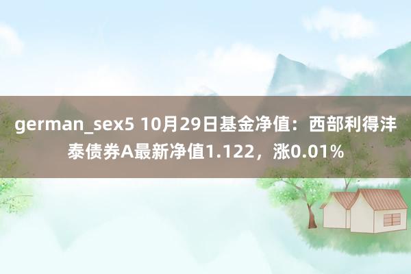 german_sex5 10月29日基金净值：西部利得沣泰债券A最新净值1.122，涨0.01%