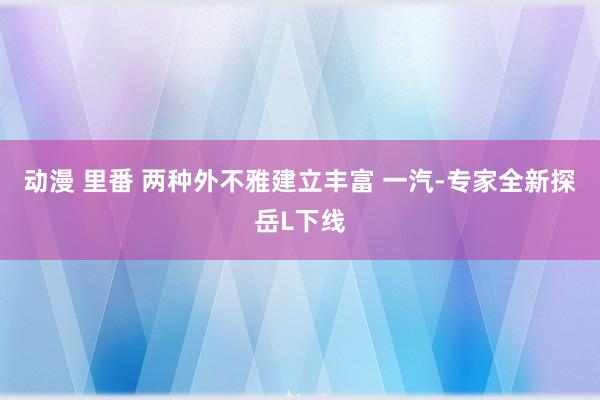 动漫 里番 两种外不雅建立丰富 一汽-专家全新探岳L下线