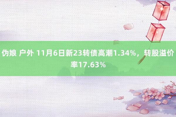 伪娘 户外 11月6日新23转债高潮1.34%，转股溢价率17.63%