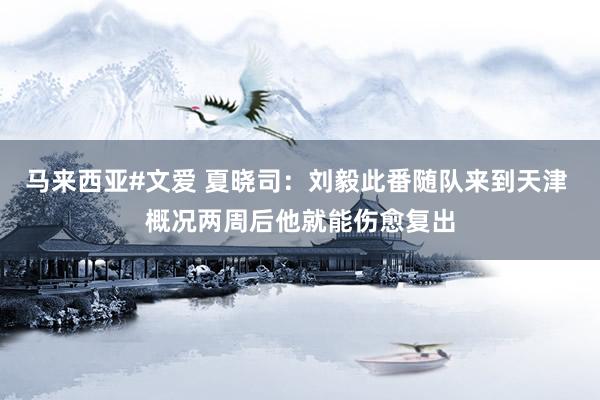 马来西亚#文爱 夏晓司：刘毅此番随队来到天津 概况两周后他就能伤愈复出