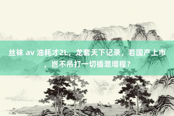 丝袜 av 油耗才2L，龙套天下记录，若国产上市，岂不吊打一切插混增程？