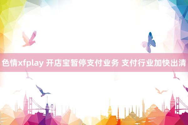 色情xfplay 开店宝暂停支付业务 支付行业加快出清