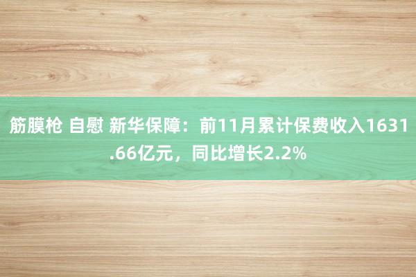 筋膜枪 自慰 新华保障：前11月累计保费收入1631.66亿元，同比增长2.2%