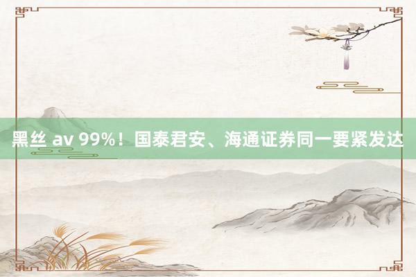 黑丝 av 99%！国泰君安、海通证券同一要紧发达