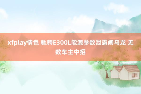 xfplay情色 驰骋E300L能源参数泄露闹乌龙 无数车主中招