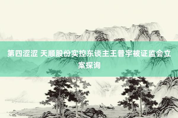 第四涩涩 天顺股份实控东谈主王普宇被证监会立案探询