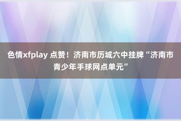 色情xfplay 点赞！济南市历城六中挂牌“济南市青少年手球网点单元”