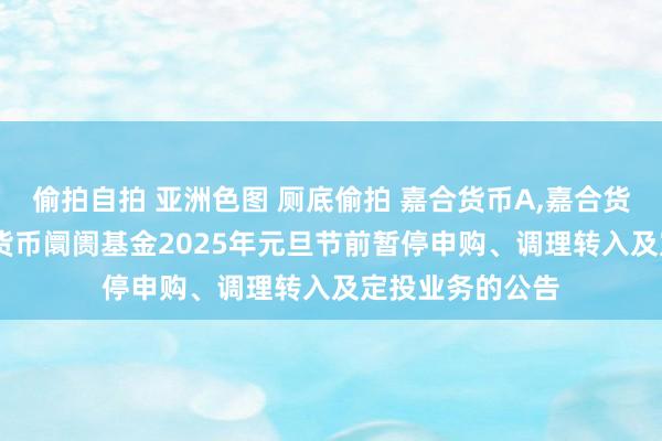偷拍自拍 亚洲色图 厕底偷拍 嘉合货币A，嘉合货币B: 对于嘉合货币阛阓基金2025年元旦节前暂停申购、调理转入及定投业务的公告