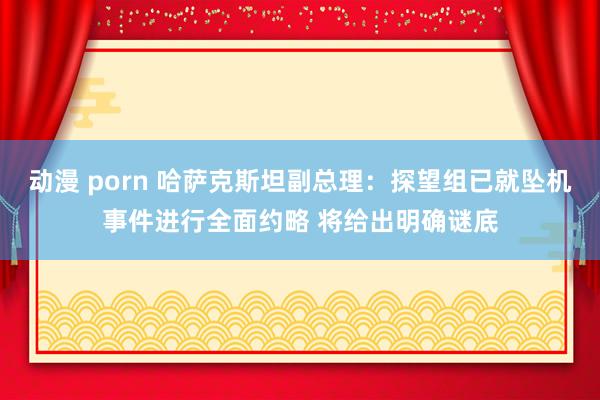 动漫 porn 哈萨克斯坦副总理：探望组已就坠机事件进行全面约略 将给出明确谜底