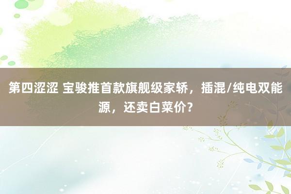 第四涩涩 宝骏推首款旗舰级家轿，插混/纯电双能源，还卖白菜价？