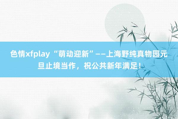 色情xfplay “萌动迎新”——上海野纯真物园元旦止境当作，祝公共新年满足！