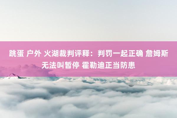 跳蛋 户外 火湖裁判评释：判罚一起正确 詹姆斯无法叫暂停 霍勒迪正当防患
