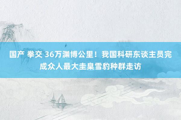 国产 拳交 36万渊博公里！我国科研东谈主员完成众人最大圭臬雪豹种群走访