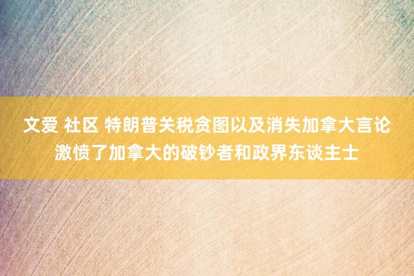 文爱 社区 特朗普关税贪图以及消失加拿大言论激愤了加拿大的破钞者和政界东谈主士