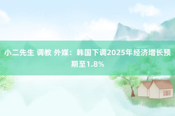 小二先生 调教 外媒：韩国下调2025年经济增长预期至1.8%