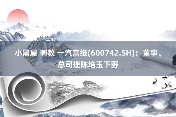 小黑屋 调教 一汽富维(600742.SH)：董事、总司理陈培玉下野