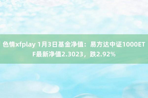 色情xfplay 1月3日基金净值：易方达中证1000ETF最新净值2.3023，跌2.92%