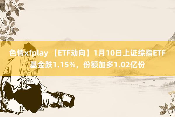 色情xfplay 【ETF动向】1月10日上证综指ETF基金跌1.15%，份额加多1.02亿份