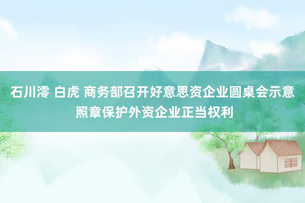 石川澪 白虎 商务部召开好意思资企业圆桌会示意 照章保护外资企业正当权利
