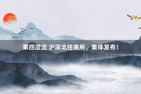 第四涩涩 沪深北往来所，集体发布！